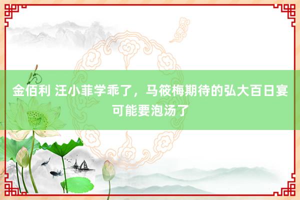 金佰利 汪小菲学乖了，马筱梅期待的弘大百日宴可能要泡汤了
