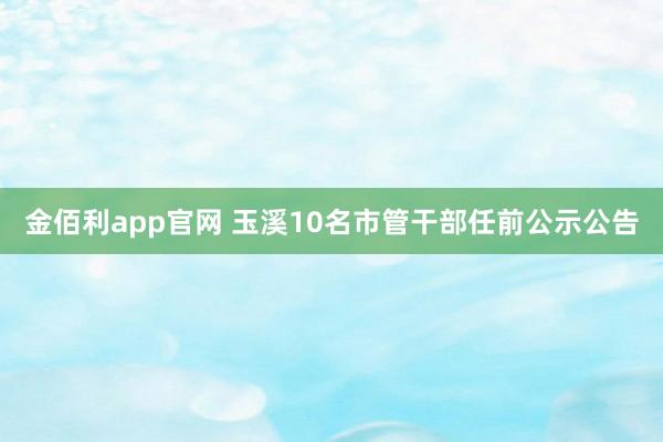 金佰利app官网 玉溪10名市管干部任前公示公告