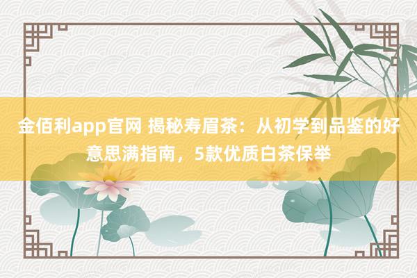 金佰利app官网 揭秘寿眉茶：从初学到品鉴的好意思满指南，5款优质白茶保举