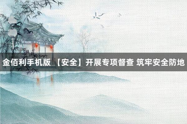 金佰利手机版 【安全】开展专项督查 筑牢安全防地