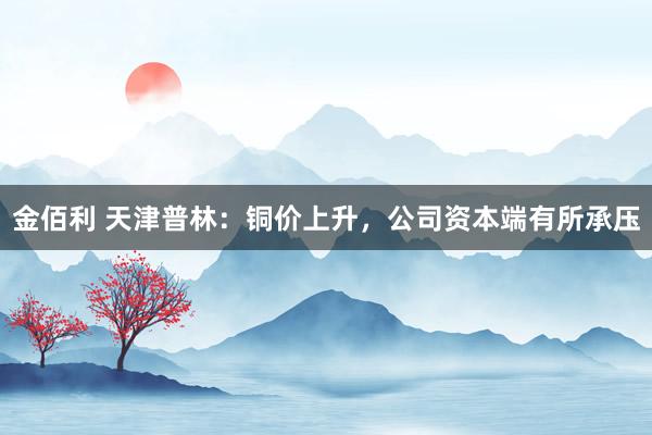 金佰利 天津普林：铜价上升，公司资本端有所承压